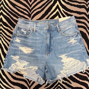 American Eagle Outfitters Light Blue Ripped Jean Shorts